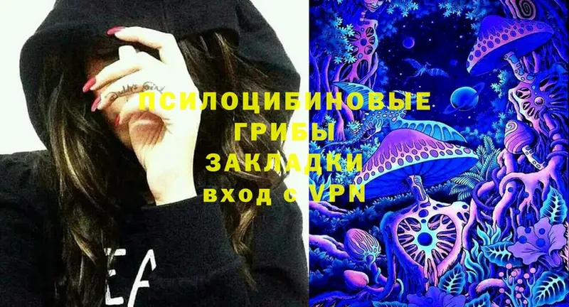 Галлюциногенные грибы Magic Shrooms  Осташков 